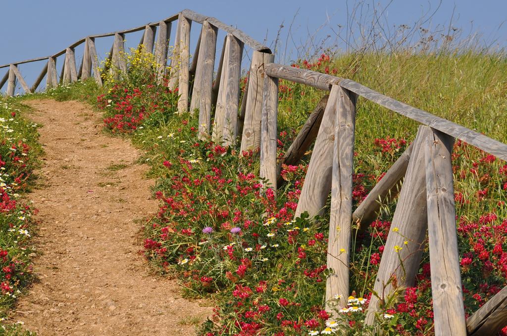 La Masseria * Vasto